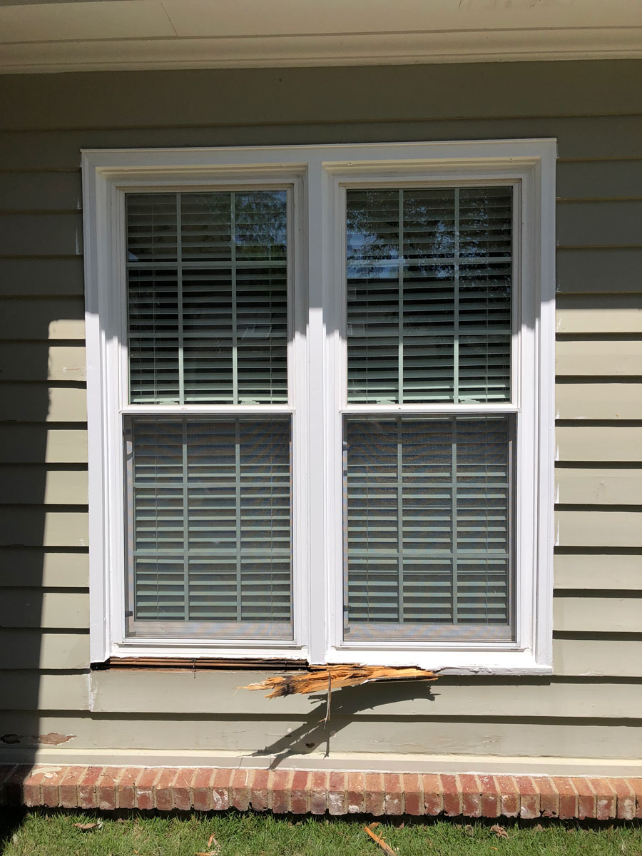 window wood rot repair services